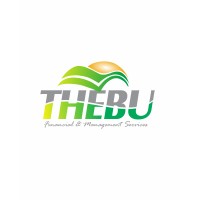 Thebu Financial and Management Services logo - Similar company to The Charllotte Tech Limited