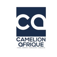 Camelion Afrique logo - Similar company to 2Si & Consulting