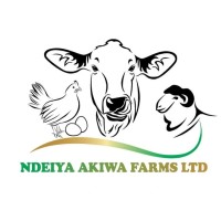 Ndeiya AKIWA Farms logo - Similar company to Millenium Work Depot