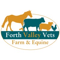 Forth Valley Vets logo - Similar company to Paragon Veterinary Group