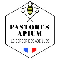 Pastores Apium logo - Similar company to Héméra Executive Search