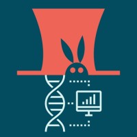 Bioinformagician logo - Similar company to Statquest