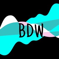 Brighton Digital Women logo - Similar company to Creative Process Digital Ltd