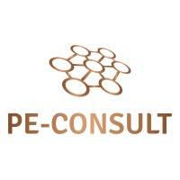 PE-Consult logo - Similar company to Alba Project Group