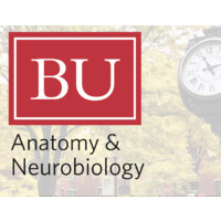 Anatomy & Neurobiology Department, BU logo - Similar company to Brain State Technologies