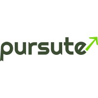 Pursute
