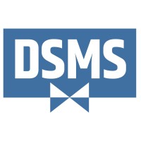 DSMS logo - Similar company to Dsms & Co Llp