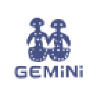 Gemini Bilişim Teknolojileri A.Ş.