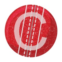 Cricket Foundation logo - Similar company to Edward W. Hazen Foundation