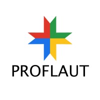 ProFlAut logo - Similar company to Dexterity Solutions