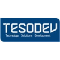 Tesodev logo - Similar company to Garajımda