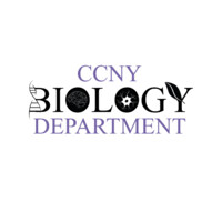 Ccny Department Of Biology