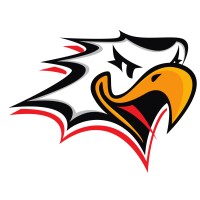 Hockey-Team Vaasan Sport logo - Similar company to Vilpe