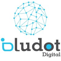 BluDot Digital Limited logo - Similar company to Cit Digital