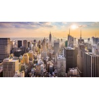 Allen & Company LLC. logo - Similar company to Liontree