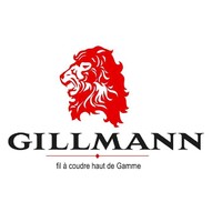 GILLMANN logo - Similar company to Ktsys