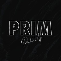 PRIM logo - Similar company to Flourish Learning Trust