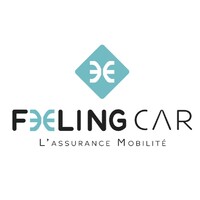 FEELING CAR logo - Similar company to Steewo