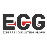 ECG Experts Consulting Group logo - Similar company to Codeflair Ag