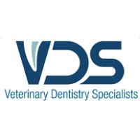 Veterinary Dentistry Specialists