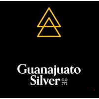 Guanajuato Silver Company Ltd logo - Similar company to Secopsa Usa