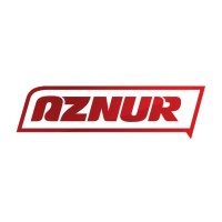 AZNUR LLC logo - Similar company to Vertex