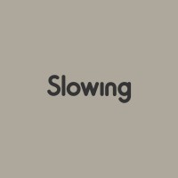 Slowing logo - Similar company to Bold New Edge