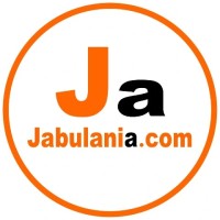 Jabulania.com logo - Similar company to Medstudents Leaders Association