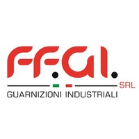 FF.GI. Srl logo - Similar company to General Packing, Llc