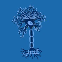 ASAB - Palestinian Neurology Nexus logo - Similar company to Palestinian Medical Students’ Association- Pmsa