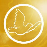 United For Human Rights International logo - Similar company to United States Navy Band