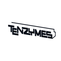 Tenzymes Pvt. Ltd. logo - Similar company to Logit Solutions Pvt Ltd
