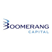 3 Boomerang Capital logo - Similar company to Abs Bio (Formerly Analytical Biological Services Inc.)