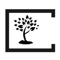 Bucare Consultancy logo - Similar company to Arietis Professionals
