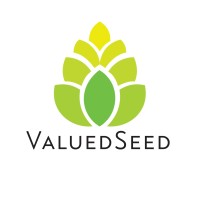 ValuedSeed Academy logo - Similar company to Valueseed