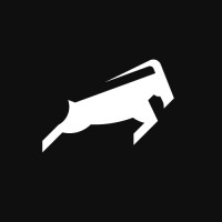 Alturos Athletics Group logo - Similar company to 285 Lax Inc.