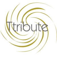 Ttribute logo - Similar company to Advicon