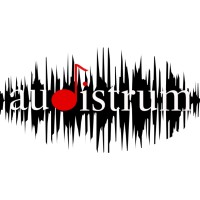 audistrum logo - Similar company to Superrock - Tirola Rock'N'Rolla