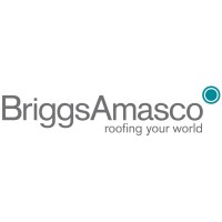 Briggs Amasco Ltd logo - Similar company to Avonside Group