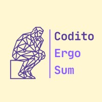 Codito Ergo Sum logo - Similar company to Illustre!