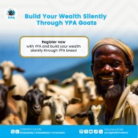 Youth Platform Africa logo - Similar company to Noa'S Herd