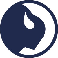 Black Bison logo - Similar company to Salesdock