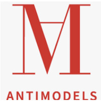 AntiModels logo - Similar company to Cachet Models