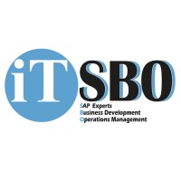 IT SBO ( SAP partner ) logo - Similar company to Lim