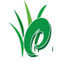 GreenDreams logo - Similar company to Green Dreams