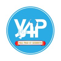 YALI for PEACE logo - Similar company to The African Federation