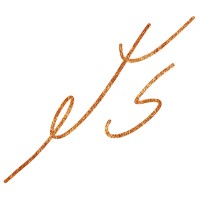 ets bv logo - Similar company to Brancom Internetbureau Rotterdam