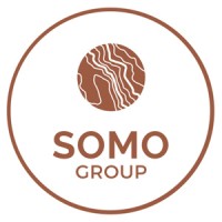 SOMO Group logo - Similar company to Somo Solutions