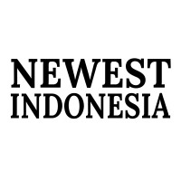 Newest Indonesia logo - Similar company to Newest Industry