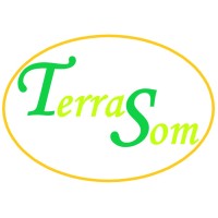 TerraSom logo - Similar company to Studio Eidola